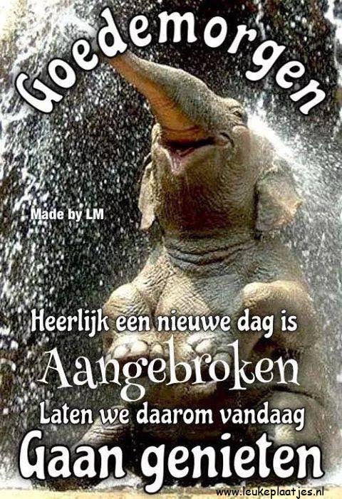 ᐅ fijne dag grappig - fijne dag grappig plaatjes