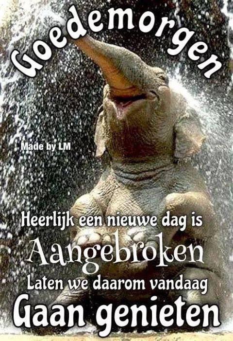 ᐅ fijne dag grappig - Fijne Dag plaatjes ᐅ fijne dag grappig - Fijne Dag plaatjes