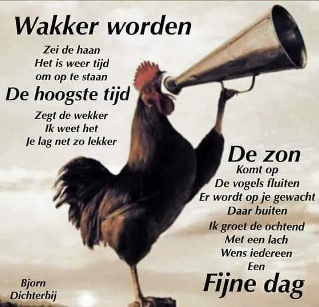 ᐅ fijne dag grappig - Fijne Dag plaatjes Haan met megafoon roept op om wakker te worden en de dag te begroeten.