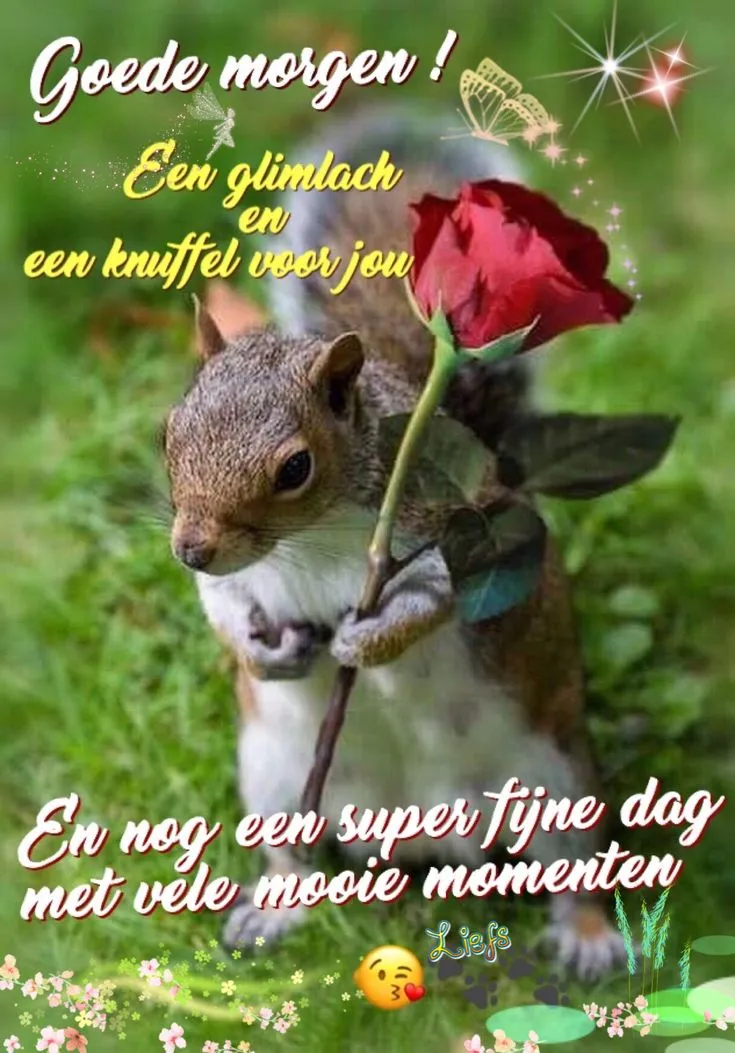 ᐅ fijne dag grappig - Fijne Dag plaatjes Eekhoorn met roos, tekst: 'Goede morgen! Een glimlach en een knuffel voor jou.'