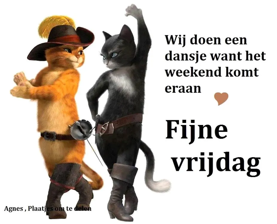 ᐅ fijne dag grappig - Fijne Dag plaatjes Twee katten dansen met tekst over het weekend en een fijne vrijdag.