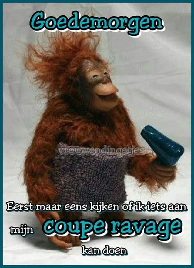 ᐅ fijne dag grappig - Fijne Dag plaatjes Aap met een orang-oetan die een föhn vasthoudt, laat zien hoe hij haarstijl probeert te veranderen.