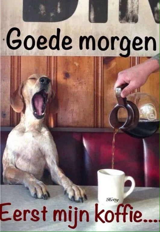 ᐅ fijne dag grappig - Fijne Dag plaatjes Een hond die gaapt terwijl iemand koffie inschenkt. Tekst: "Goedemorgen" en "Eerst mijn koffie".