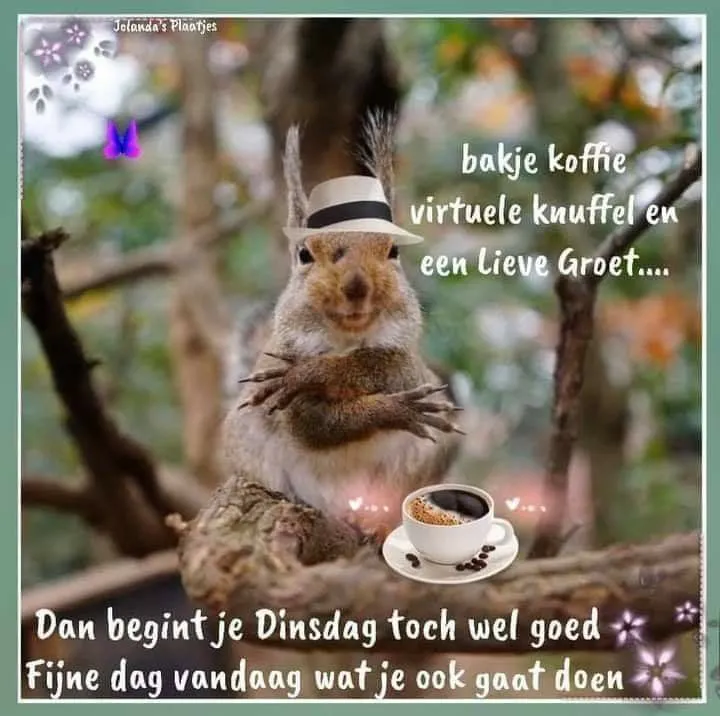 ᐅ fijne dag grappig - Fijne Dag plaatjes Een eekhoorn met hoed, koffie en een vriendelijke boodschap voor de dag.