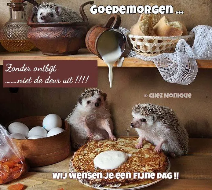 ᐅ fijne dag grappig - Fijne Dag plaatjes Drie egels bij een ontbijttafel met pannenkoeken en eieren, vrolijk en gastvrij.