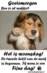 fijne dag humor