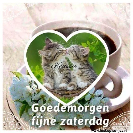 Koffie met een hartvormige foto van spelende kittens. Tekst: "Goedemorgen fijne zaterdag."