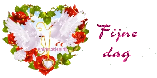 Witte duiven en rozen in een hartvorm met de tekst "Fijne dag".