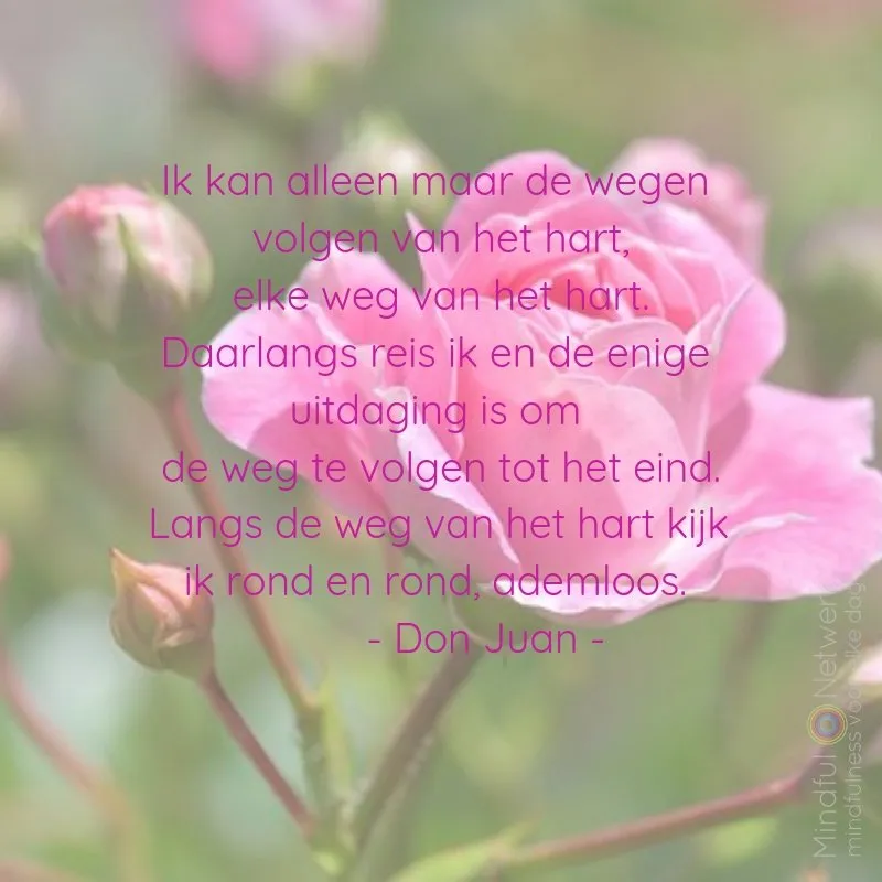 Roze bloem met citaten over het volgen van het hart en persoonlijke groei.