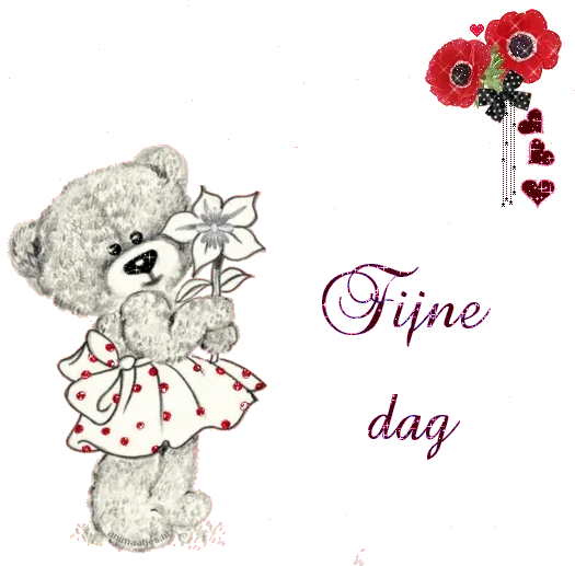 Grijze teddybeer met bloem in een rode achtergrond, tekst "Fijne dag".