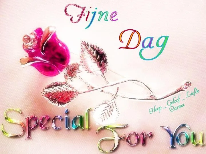 Gouden rozenbroche met de tekst "Fijne Dag Special For You". Kleurrijke letters.