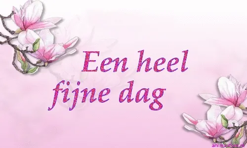 Tekst met de zin "Een heel fijne dag" versierd met bloesems.