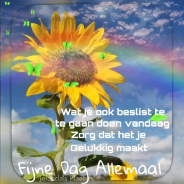 Gele zonnebloem onder een kleurrijke lucht met een positieve boodschap.