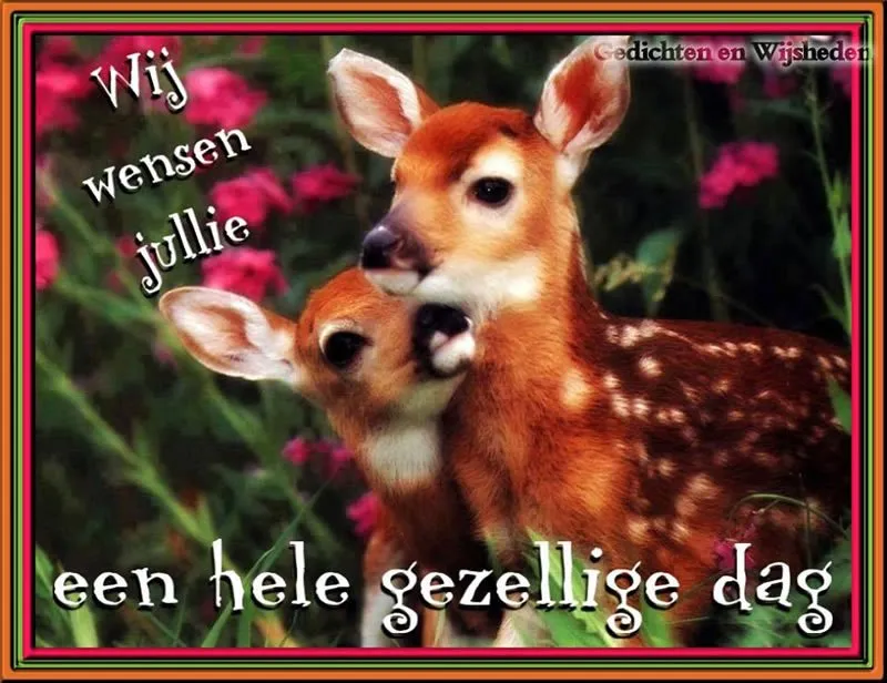 Twee hertjes knuffelen in een bloemenveld met een wens voor een gezellige dag.