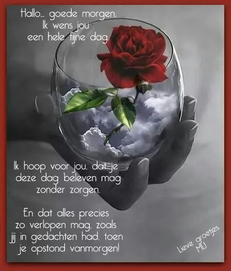 Een glas met een rode roos, omringd door wolken en een bemoedigende boodschap.