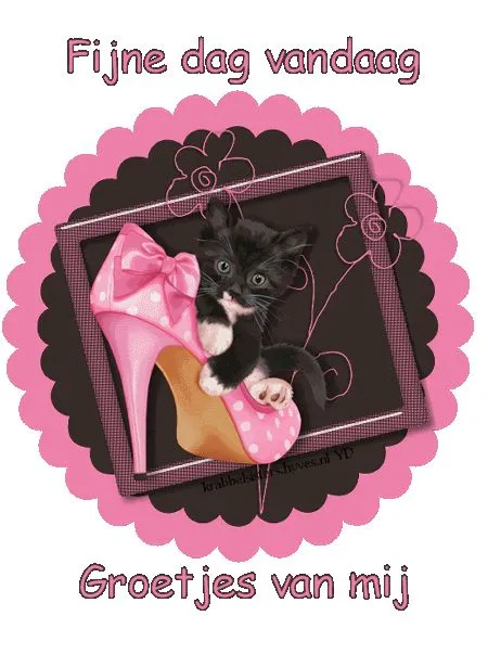 Zwarte kitten op een roze hoge hak met de tekst "Fijne dag vandaag".