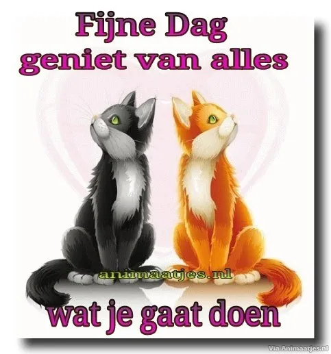 Twee katten zitten naast elkaar met de tekst "Fijne Dag, geniet van alles".