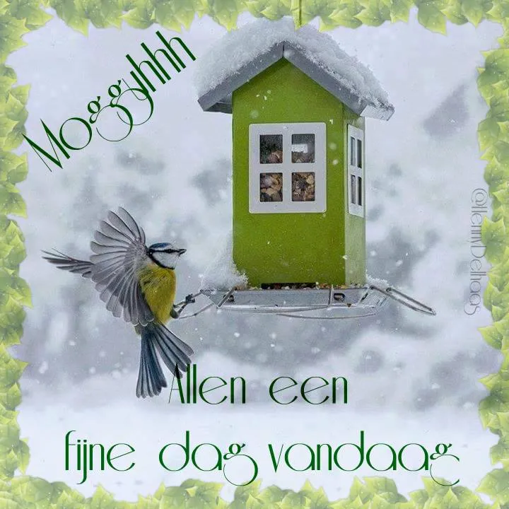 Vogel bij een groene voederhuisje in een besneeuwd landschap.