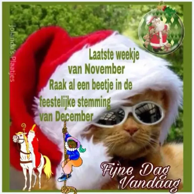 Kat met een kerstman-muts en zonnebril, met teksten over november en december.