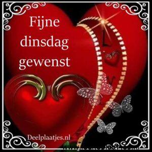 fijne dinsdag