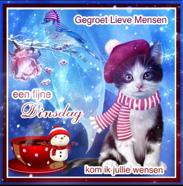 ᐅ fijne dinsdag - Dinsdag plaatjes