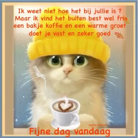 ᐅ fijne dinsdag - Dinsdag plaatjes