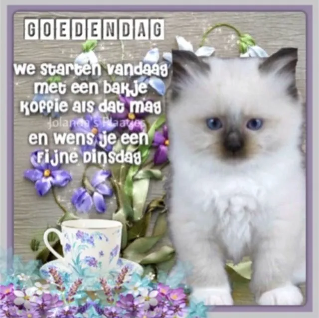 ᐅ fijne dinsdag - Dinsdag plaatjes