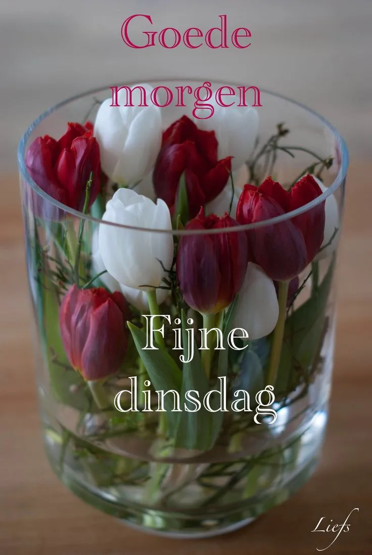 ᐅ fijne dinsdag - Dinsdag plaatjes