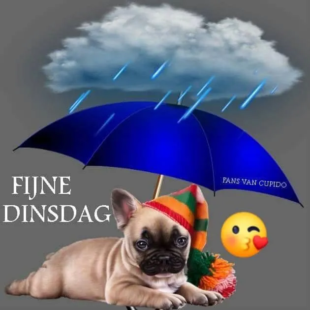 ᐅ fijne dinsdag - Dinsdag plaatjes