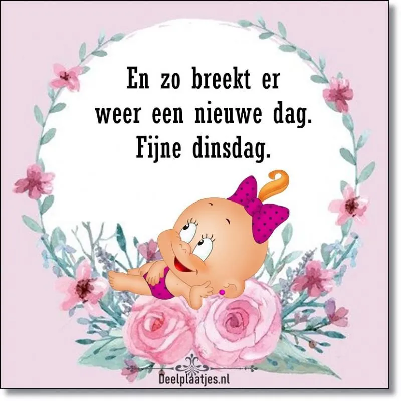 ᐅ fijne dinsdag - Dinsdag plaatjes
