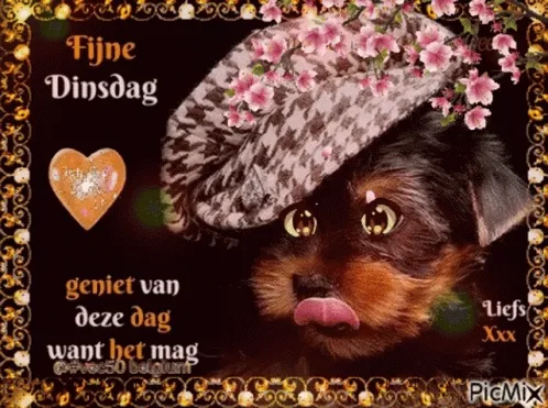 ᐅ fijne dinsdag gif - Dinsdag plaatjes ᐅ fijne dinsdag gif - Dinsdag plaatjes