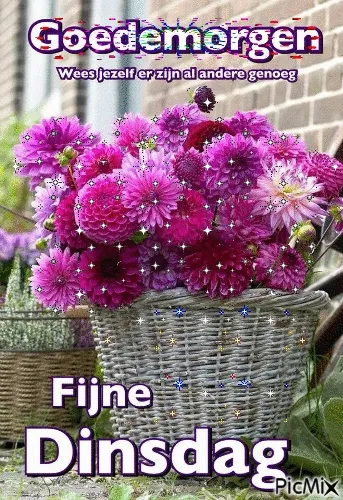 ᐅ fijne dinsdag gif - Dinsdag plaatjes ᐅ fijne dinsdag gif - Dinsdag plaatjes