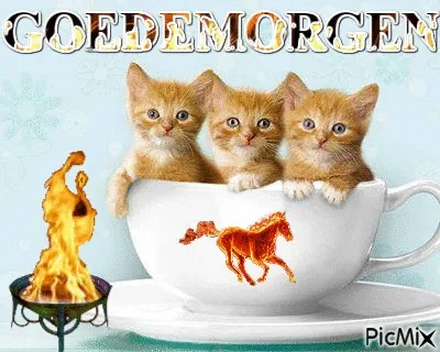 ᐅ fijne dinsdag gif - Dinsdag plaatjes ᐅ fijne dinsdag gif - Dinsdag plaatjes