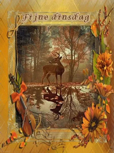 ᐅ fijne dinsdag gif - Dinsdag plaatjes ᐅ fijne dinsdag gif - Dinsdag plaatjes