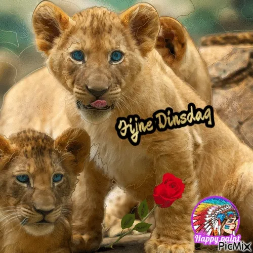 ᐅ fijne dinsdag gif - Dinsdag plaatjes ᐅ fijne dinsdag gif - Dinsdag plaatjes