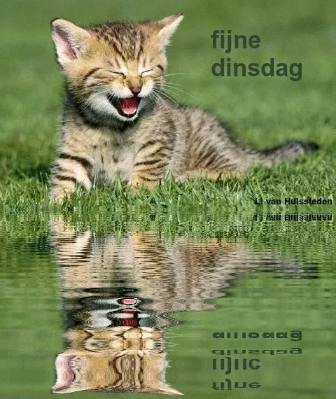 ᐅ fijne dinsdag gif - Dinsdag plaatjes ᐅ fijne dinsdag gif - Dinsdag plaatjes