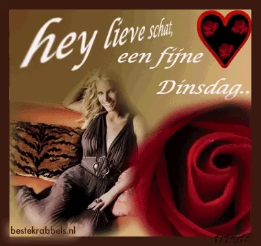 ᐅ fijne dinsdag gif - Dinsdag plaatjes ᐅ fijne dinsdag gif - Dinsdag plaatjes