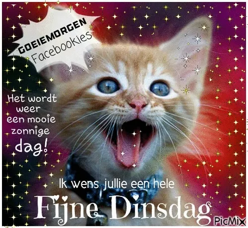 ᐅ fijne dinsdag gif - Dinsdag plaatjes ᐅ fijne dinsdag gif - Dinsdag plaatjes