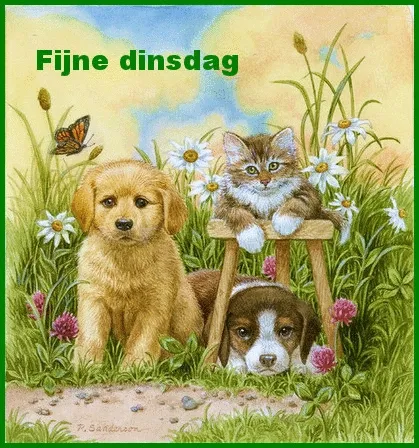 ᐅ fijne dinsdag gif - Dinsdag plaatjes ᐅ fijne dinsdag gif - Dinsdag plaatjes