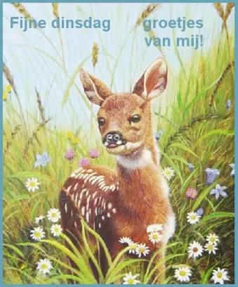 ᐅ fijne dinsdag gif - Dinsdag plaatjes ᐅ fijne dinsdag gif - Dinsdag plaatjes