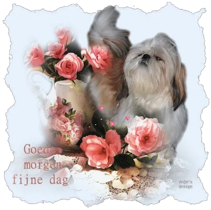 ᐅ fijne dinsdag gif - Dinsdag plaatjes ᐅ fijne dinsdag gif - Dinsdag plaatjes