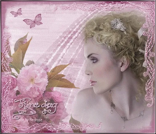 ᐅ fijne dinsdag gif - Dinsdag plaatjes ᐅ fijne dinsdag gif - Dinsdag plaatjes