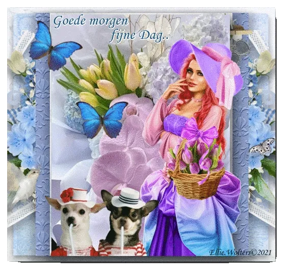 ᐅ fijne dinsdag gif - Dinsdag plaatjes ᐅ fijne dinsdag gif - Dinsdag plaatjes