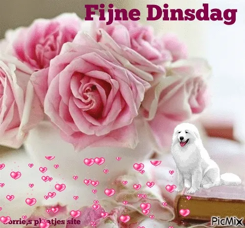 ᐅ fijne dinsdag gif - Dinsdag plaatjes ᐅ fijne dinsdag gif - Dinsdag plaatjes