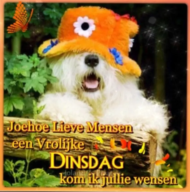 ᐅ fijne dinsdag wensen - Dinsdag plaatjes ᐅ fijne dinsdag wensen - Dinsdag plaatjes