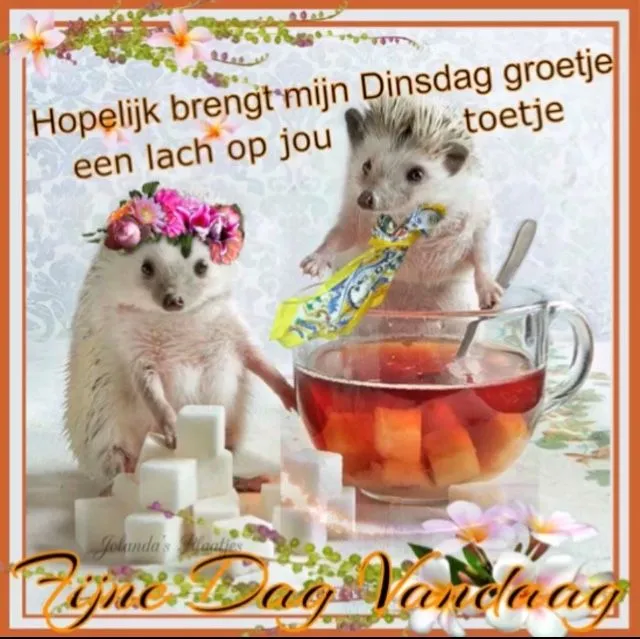 ᐅ fijne dinsdag wensen - Dinsdag plaatjes ᐅ fijne dinsdag wensen - Dinsdag plaatjes