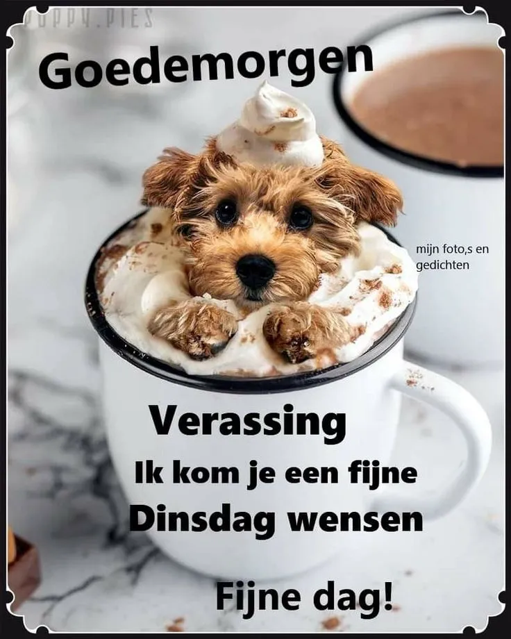 ᐅ fijne dinsdag wensen - Dinsdag plaatjes ᐅ fijne dinsdag wensen - Dinsdag plaatjes