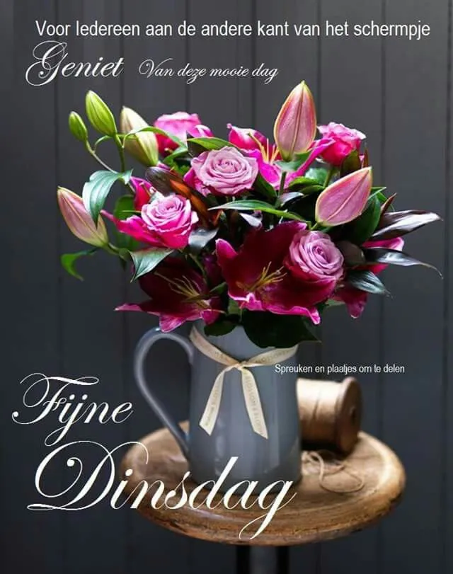 ᐅ fijne dinsdag wensen - Dinsdag plaatjes ᐅ fijne dinsdag wensen - Dinsdag plaatjes