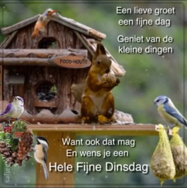 ᐅ fijne dinsdag wensen - Dinsdag plaatjes ᐅ fijne dinsdag wensen - Dinsdag plaatjes