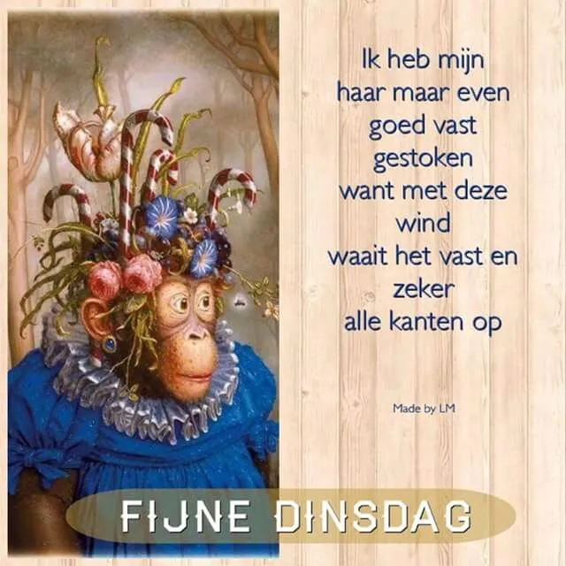 ᐅ fijne dinsdag wensen - Dinsdag plaatjes ᐅ fijne dinsdag wensen - Dinsdag plaatjes